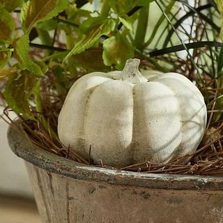 A white ceramic pumpkin in a planter