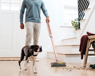 Shark Wandvac cleaning pet mess with dog