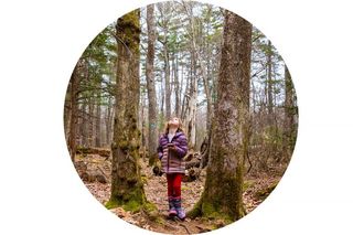 A child holding a phone looking up into the trees