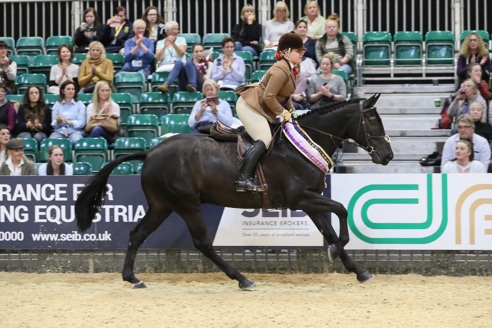 843 Marlon Brando r Maisie Swain working show horse