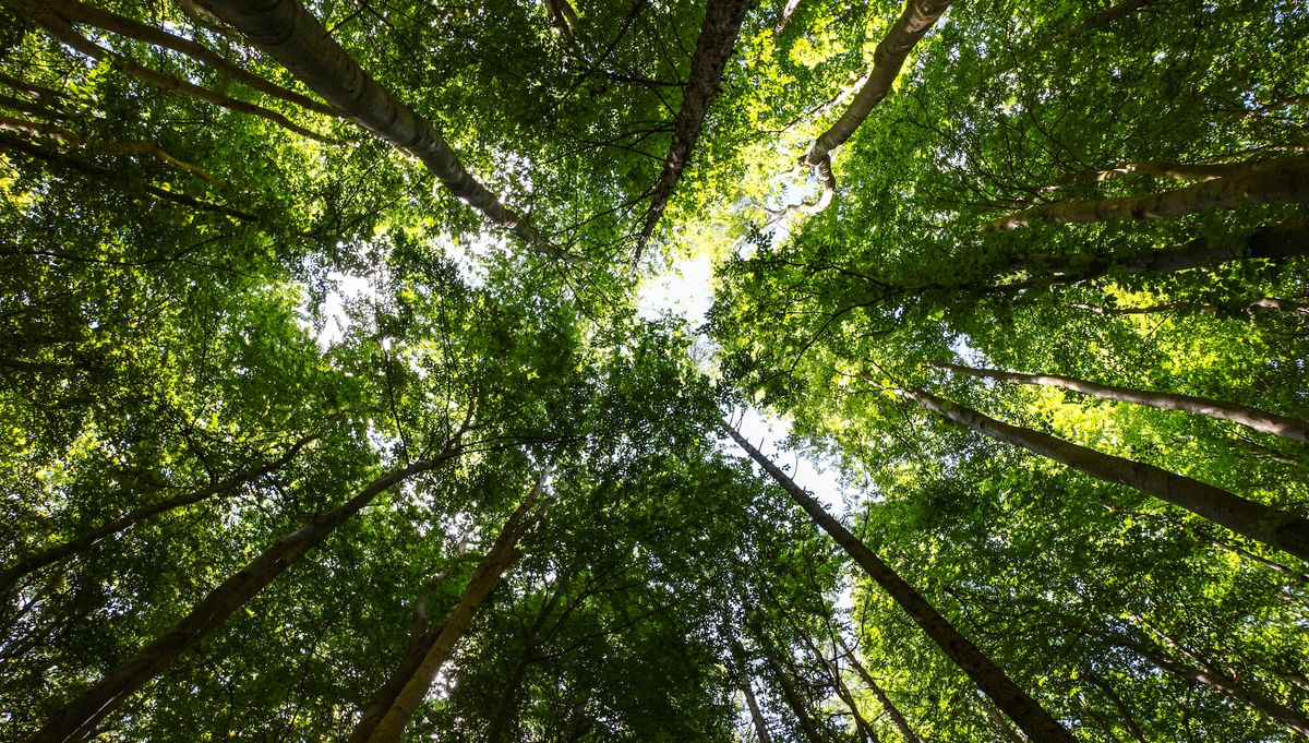 Comment réduire l'effet de la beauté sur la planète depuis chez soi