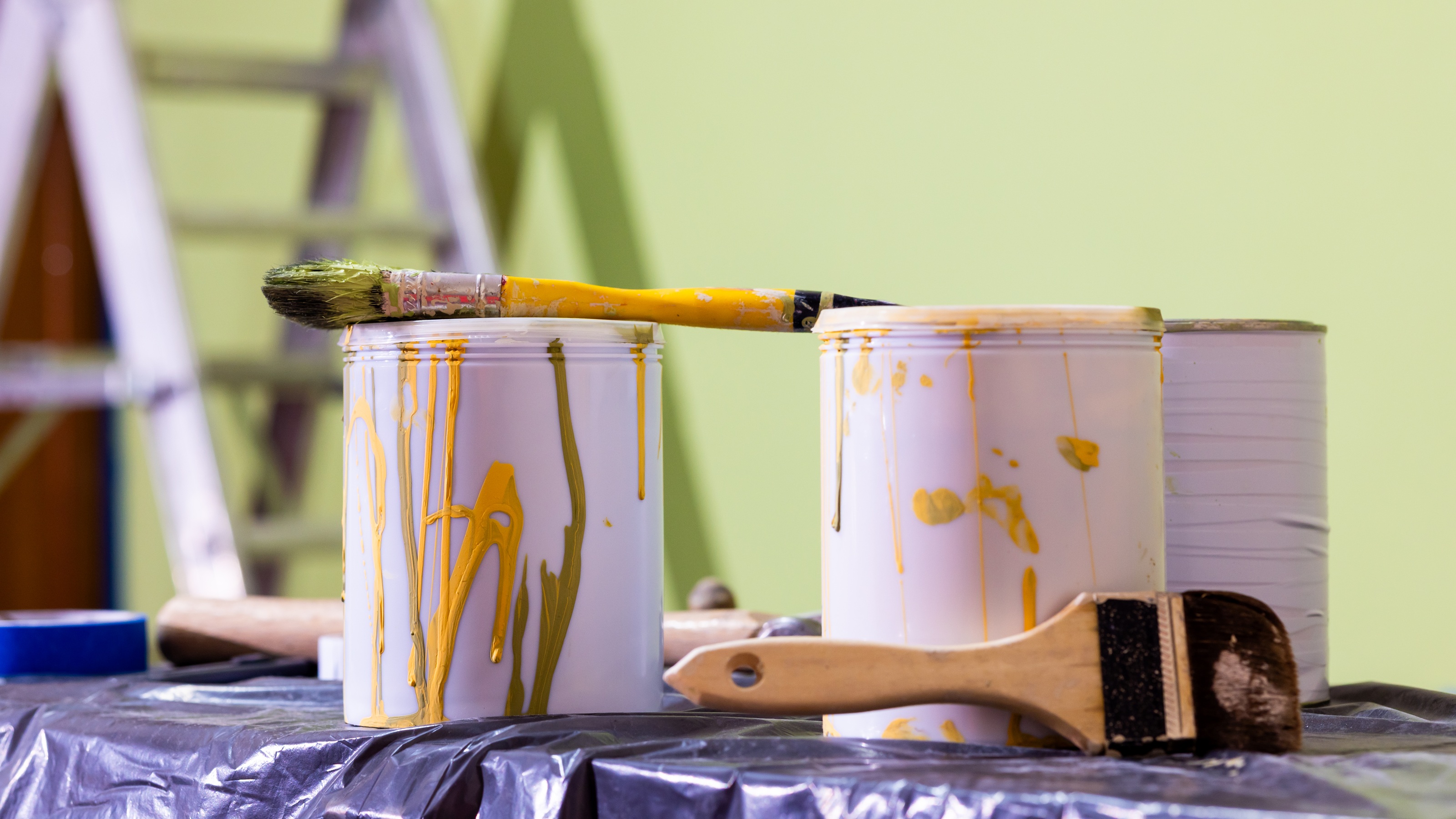 Paint cans and paintbrushes with a ladder in the background.