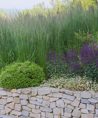 naturalistic planted border with grasses, salvia and erigeron by Michelle Brandon