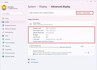 Windows 11 monitor details