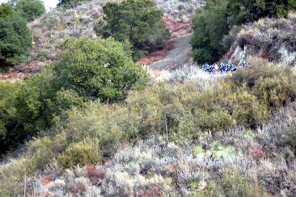 Anyone seen a cycling team round here?