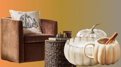 Fall gradient background with brown velvet chair and pumpkin decor items