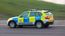 Alamy-BK49D4.jpg