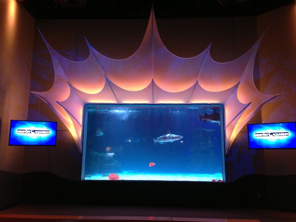 Full Spectrum Chooses Alcorn McBride Equipment for Newport Aquarium