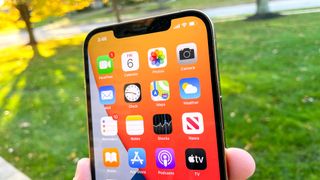 iPhone 12 Pro Max notch