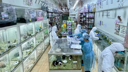 Members of Hong Kong’s Health Department wearing PPE in a pet shop