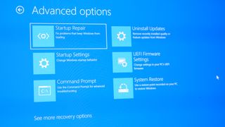 Advanced Startup Menu options screen in Windows 11