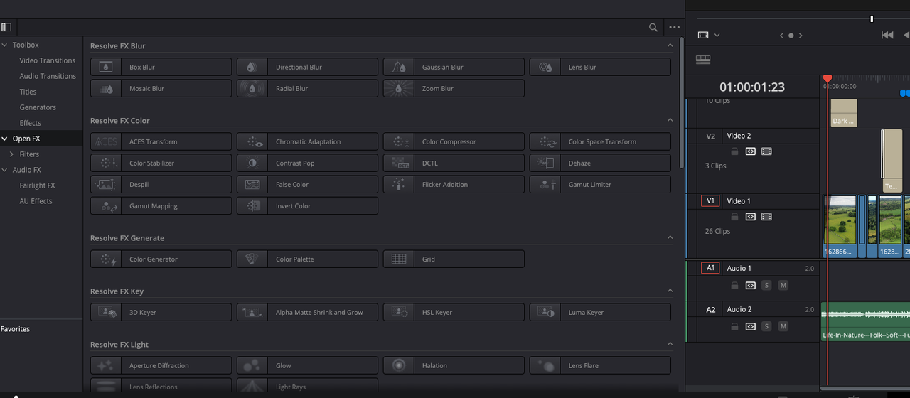 Screenshot from DaVinci Resolve 19