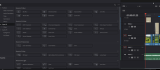 A screenshot from DaVinci Resolve 19