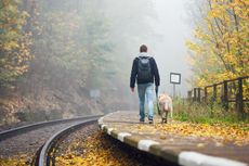 When the leaves hit the track, it's time to grab the dog and walk to work...