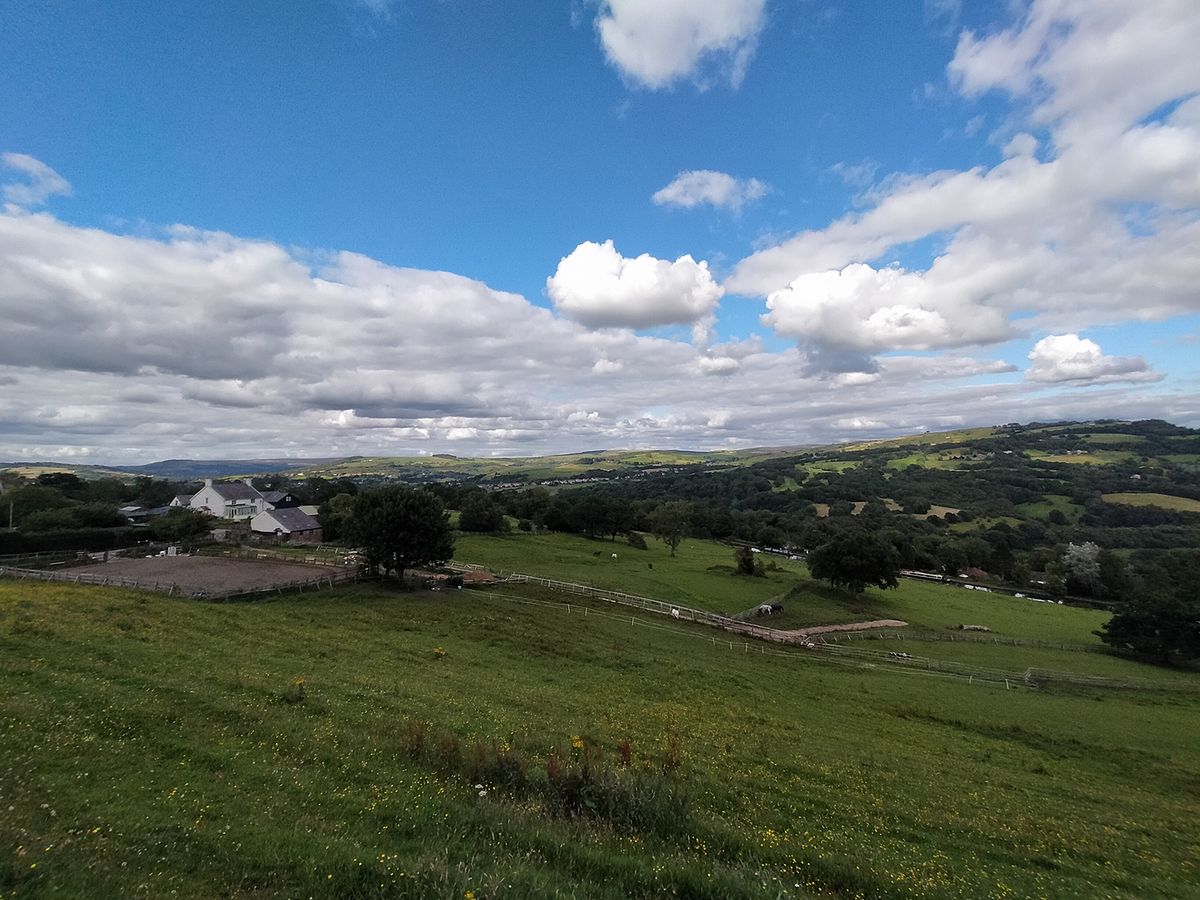 Oppo A72 camera sample