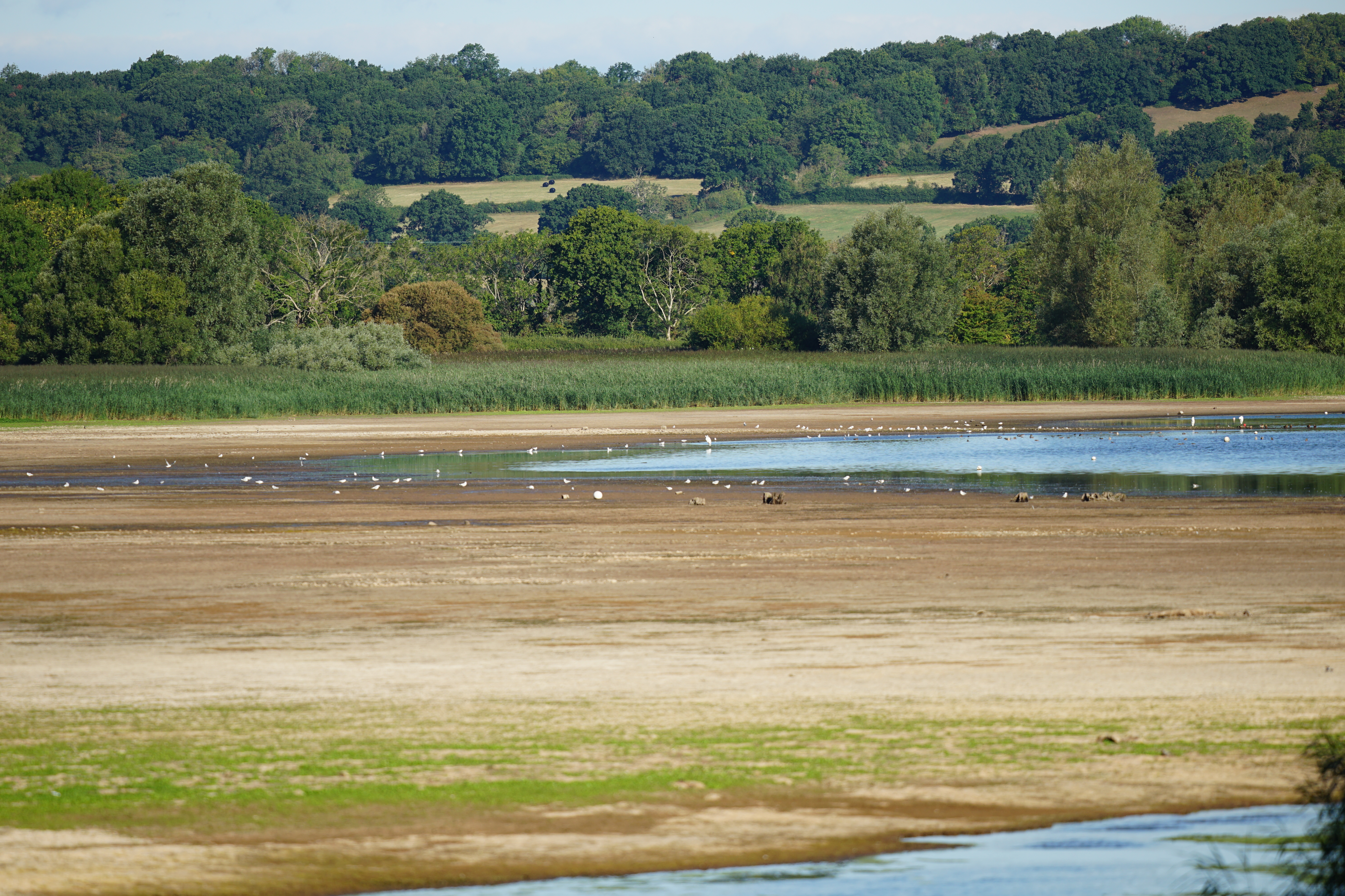 Sigma 300-600mm f/4 DG OS Sports example shot