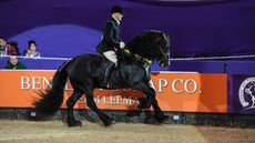 hoys m&m ridden pony of the year