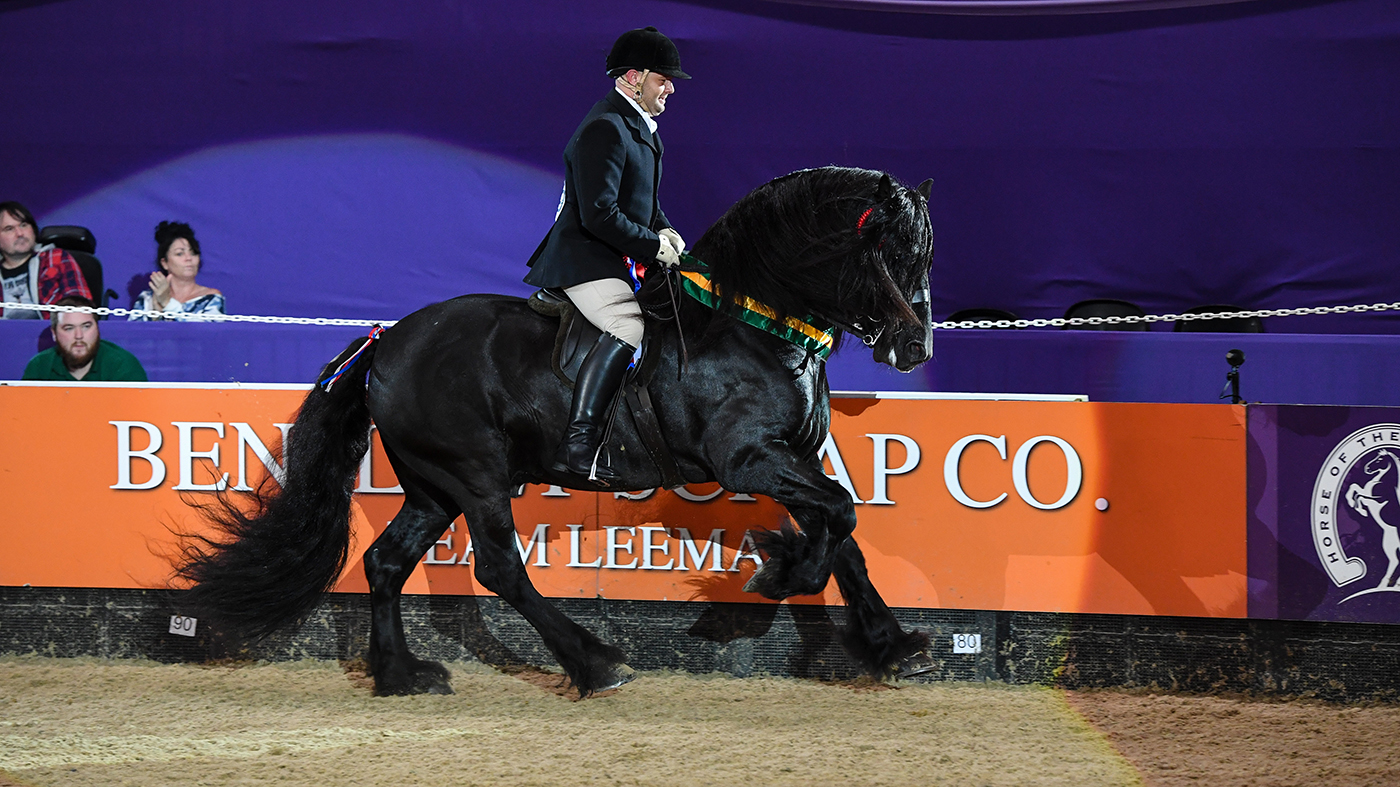 hoys m&amp;amp;m ridden pony of the year