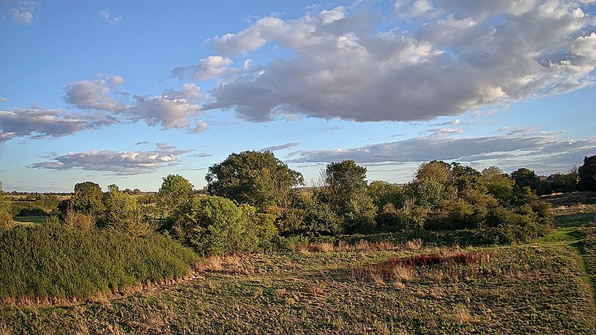 View of a field and trees taken with the Ruko U11MINI drone.