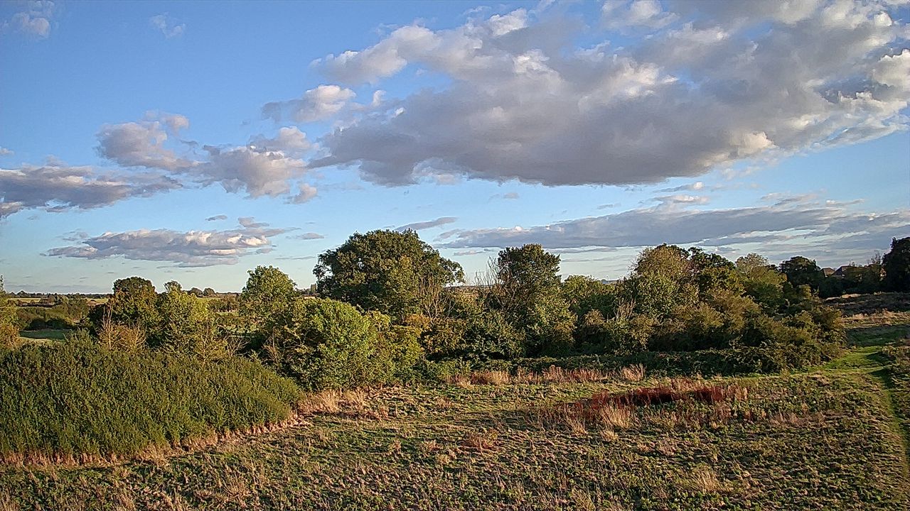 View of a field and trees taken with the Ruko U11MINI drone.
