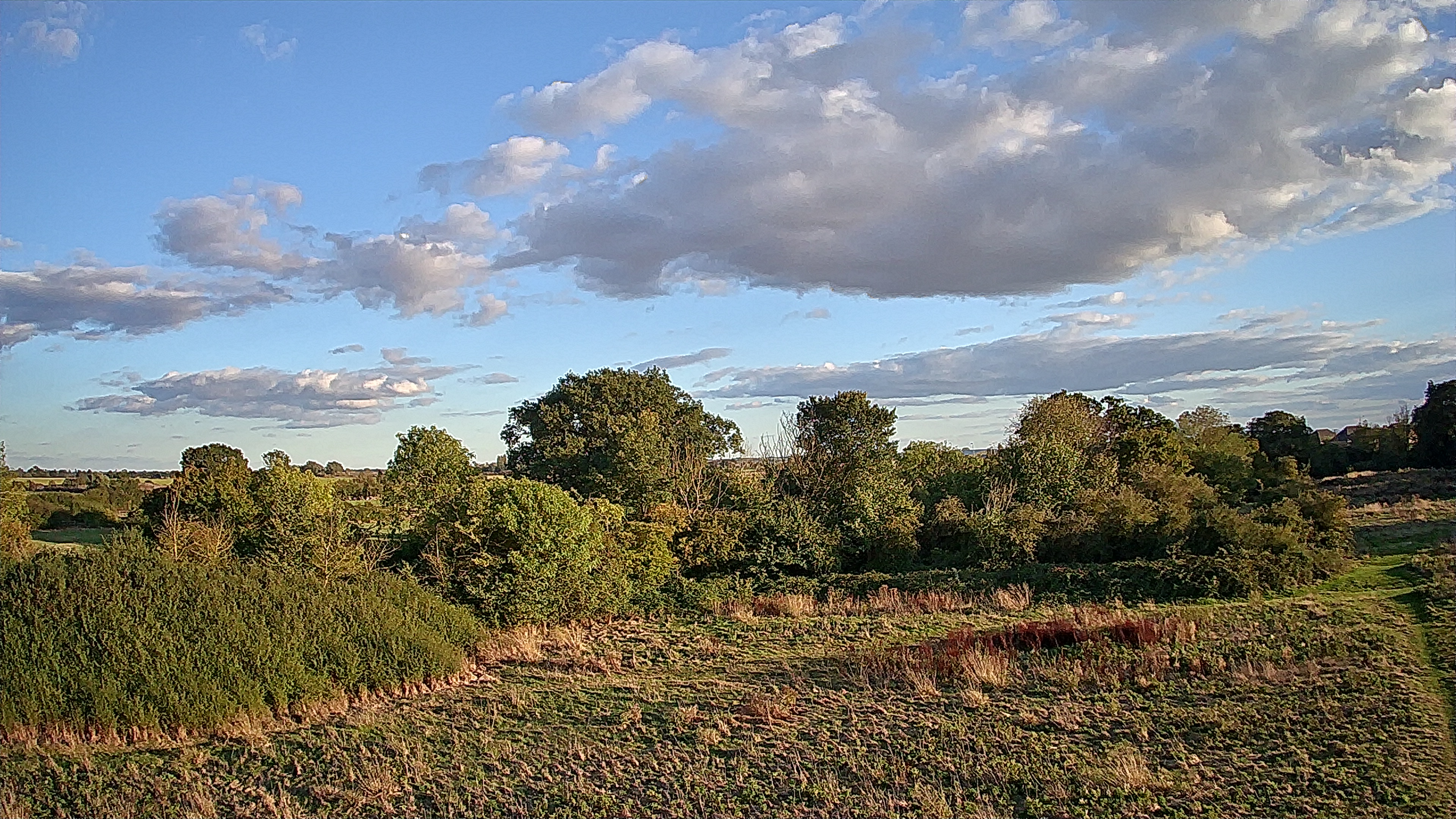 View of a field and trees taken with the Ruko U11MINI drone.