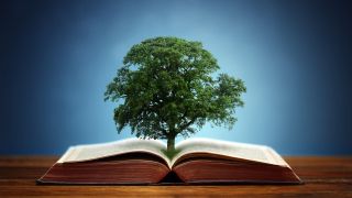 Tree grows out of an open book