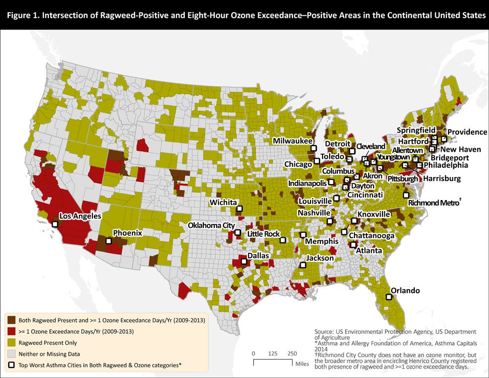 A map of areas in the United States that have both high ozone levels and ragweed pollen.