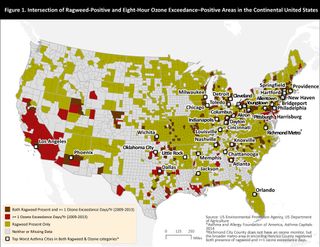 A map of areas in the United States that have both high ozone levels and ragweed pollen.