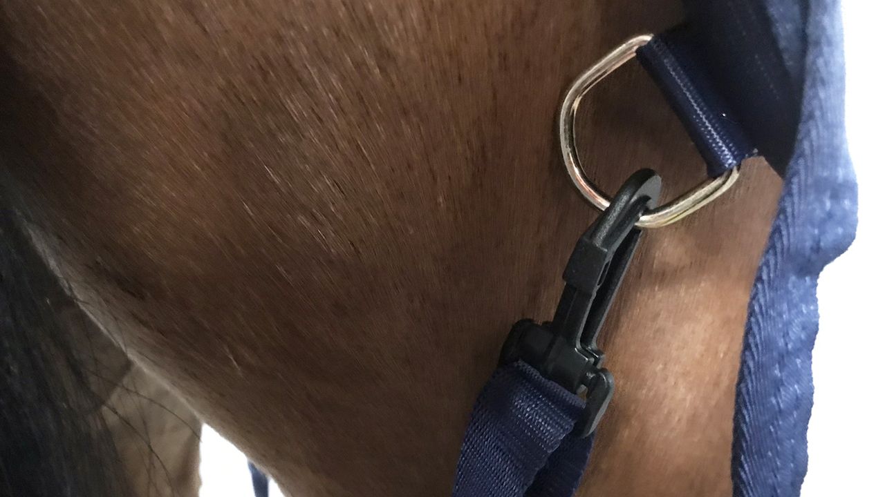Bucas freedom fly rug rear leg straps