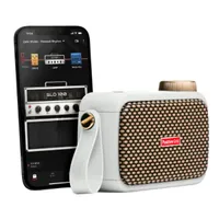 Positive Grid Spark Go