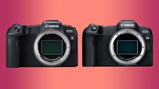 Canon R8 vs RP