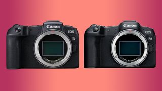 canon eos r8 vs canon eos rp