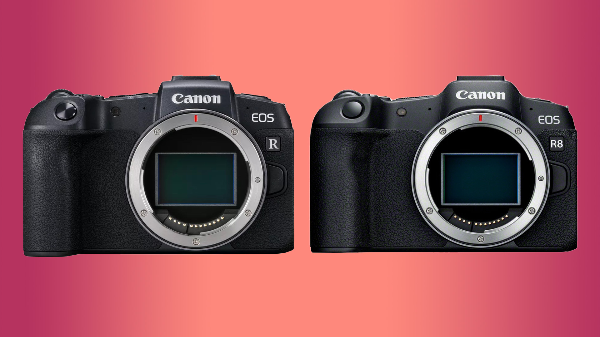 Canon r8 vs canon r6