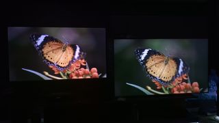 Hisense L9H and Hisense U7K showing butterfly on screen