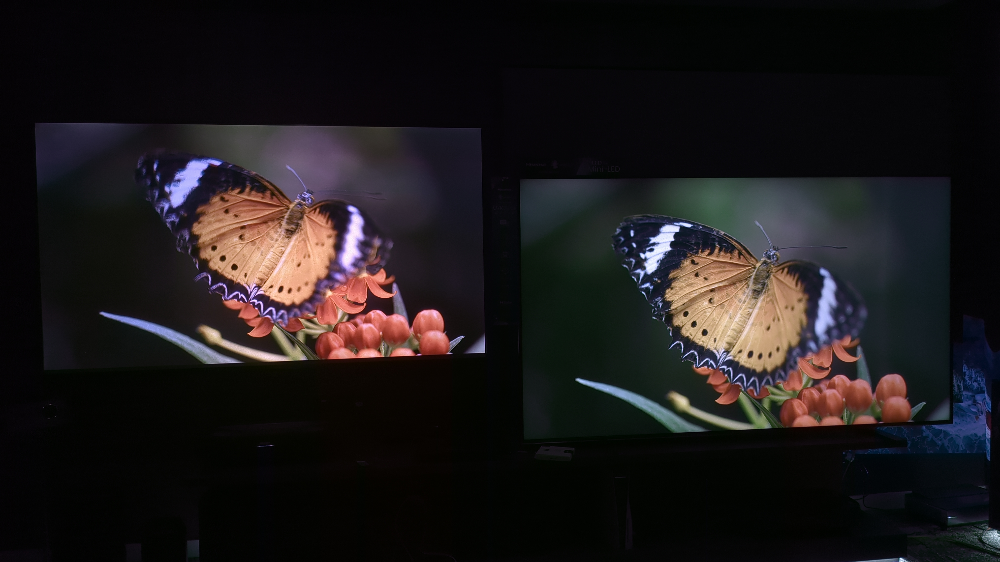 Hisense L9H and Hisense U7K showing butterfly on screen