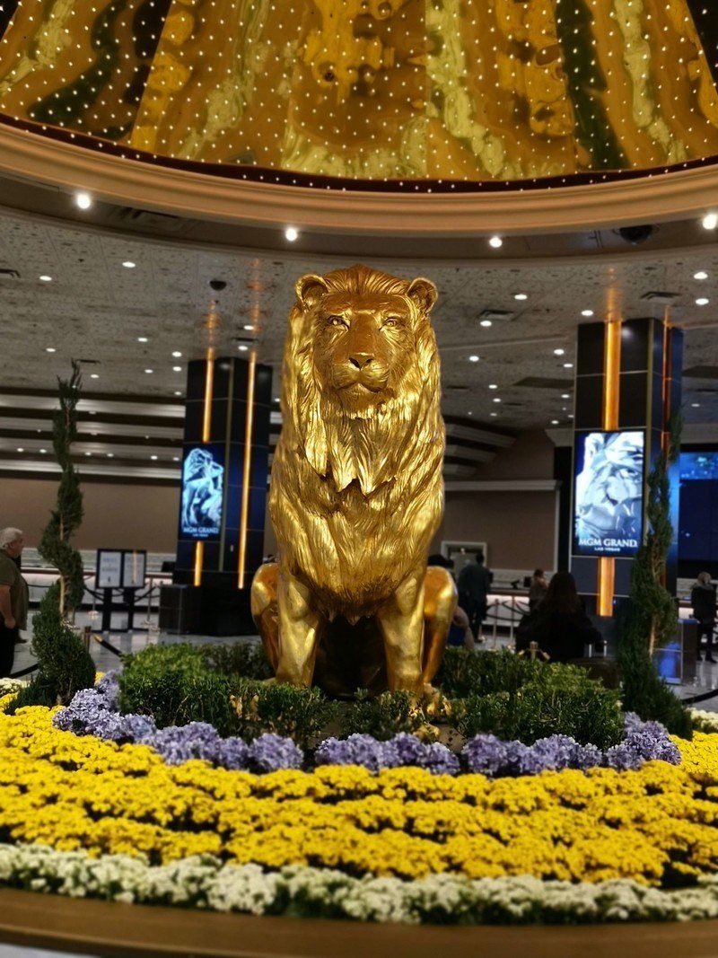 Honor View 20 photo sample