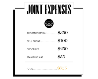 joint expenses