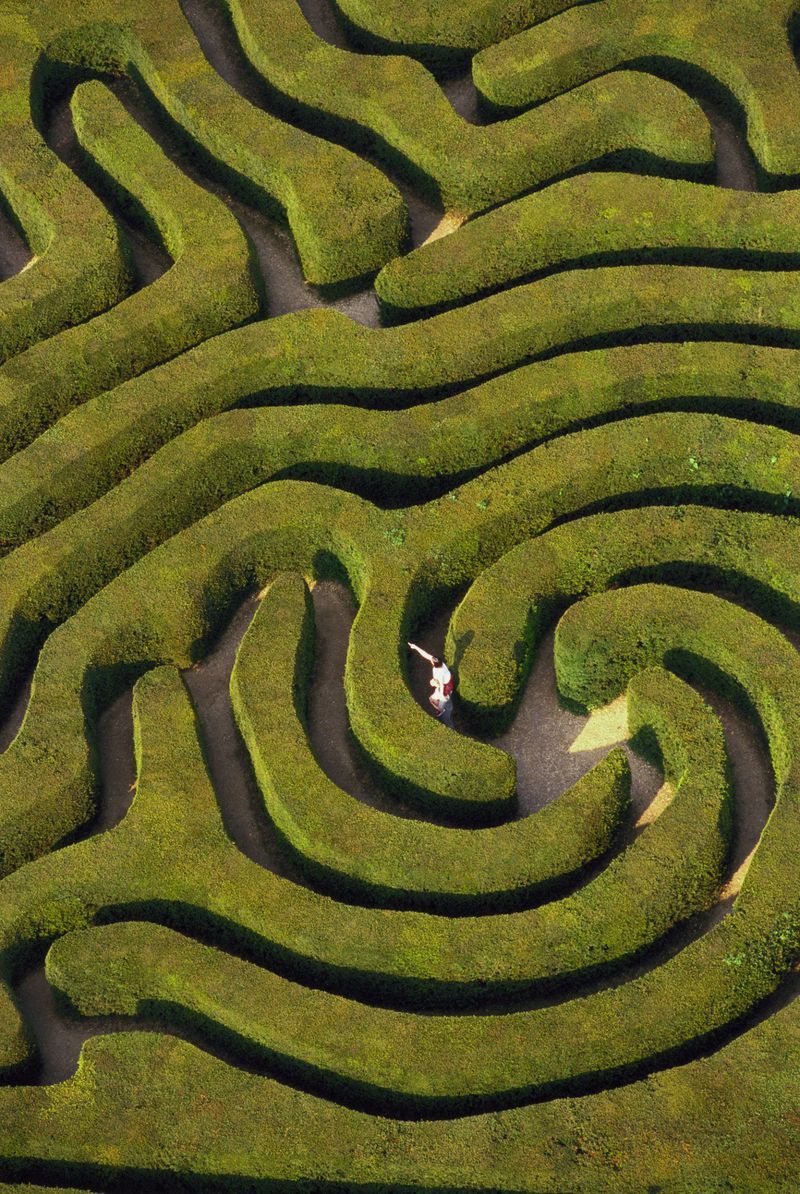 Get Lost in a Maze