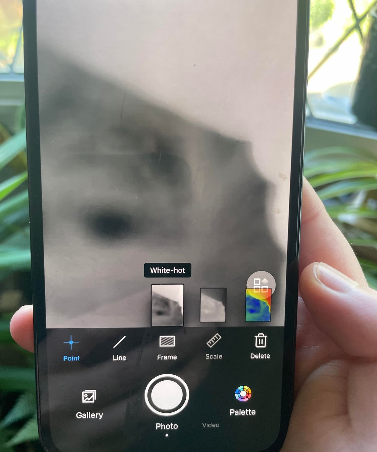 A 'white-hot' colour setting on a thermal camera