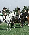 A9EB6701-FD8F-4DB6-91E7-214FDEFF9804.jpg