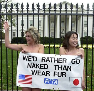 PETA's guerrilla tactics are the stuff of legend: This demonstration outside the White House took place in 2000, with Melynda Duval and Masami Katori braving the November chill to make their point. Credit: AFP/Getty