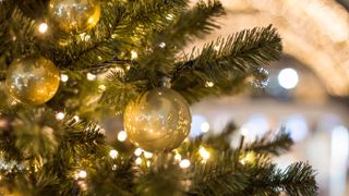 Christmas bauble and lights on tree
