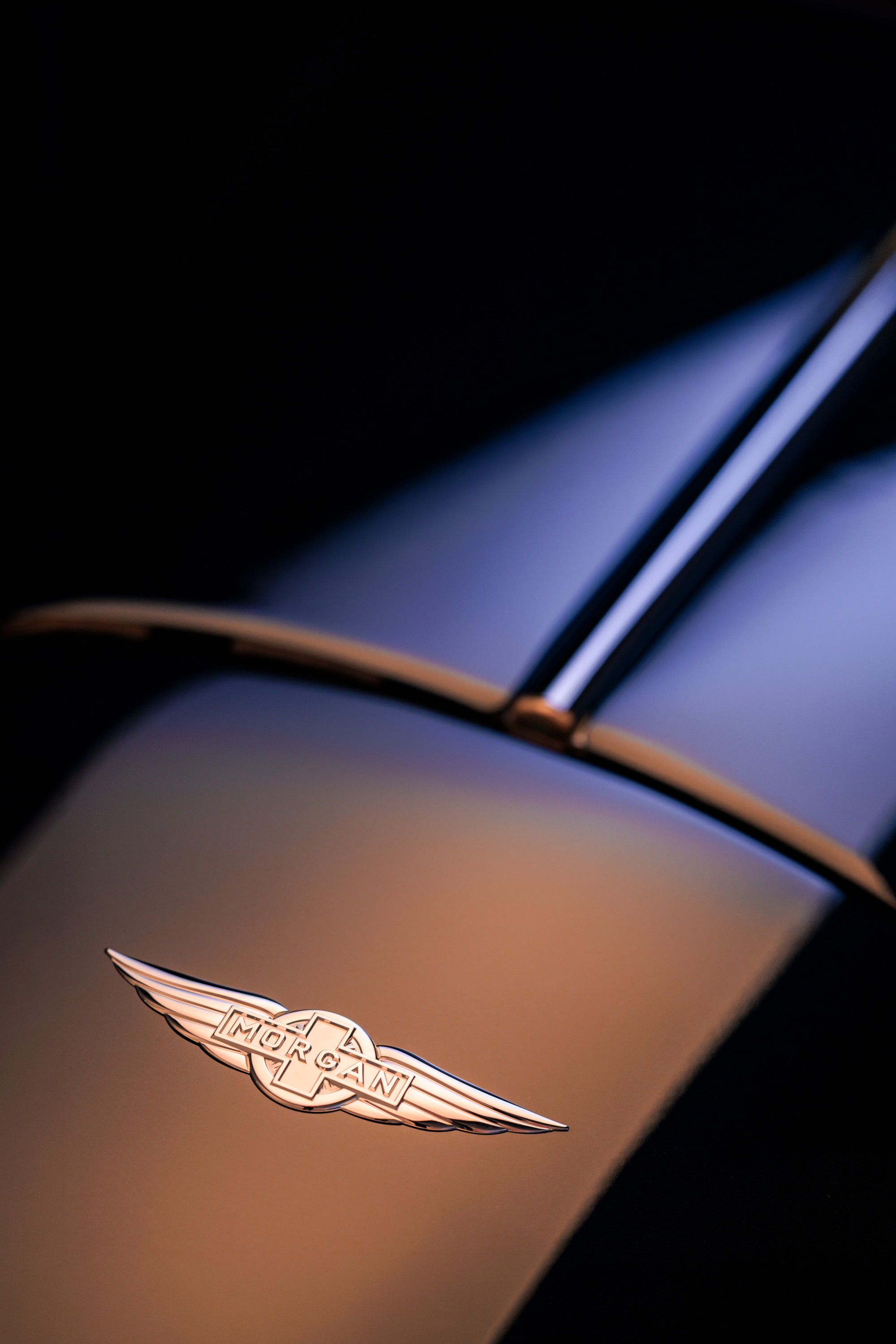 Details of the Morgan Midsummer Coupé's coachwork