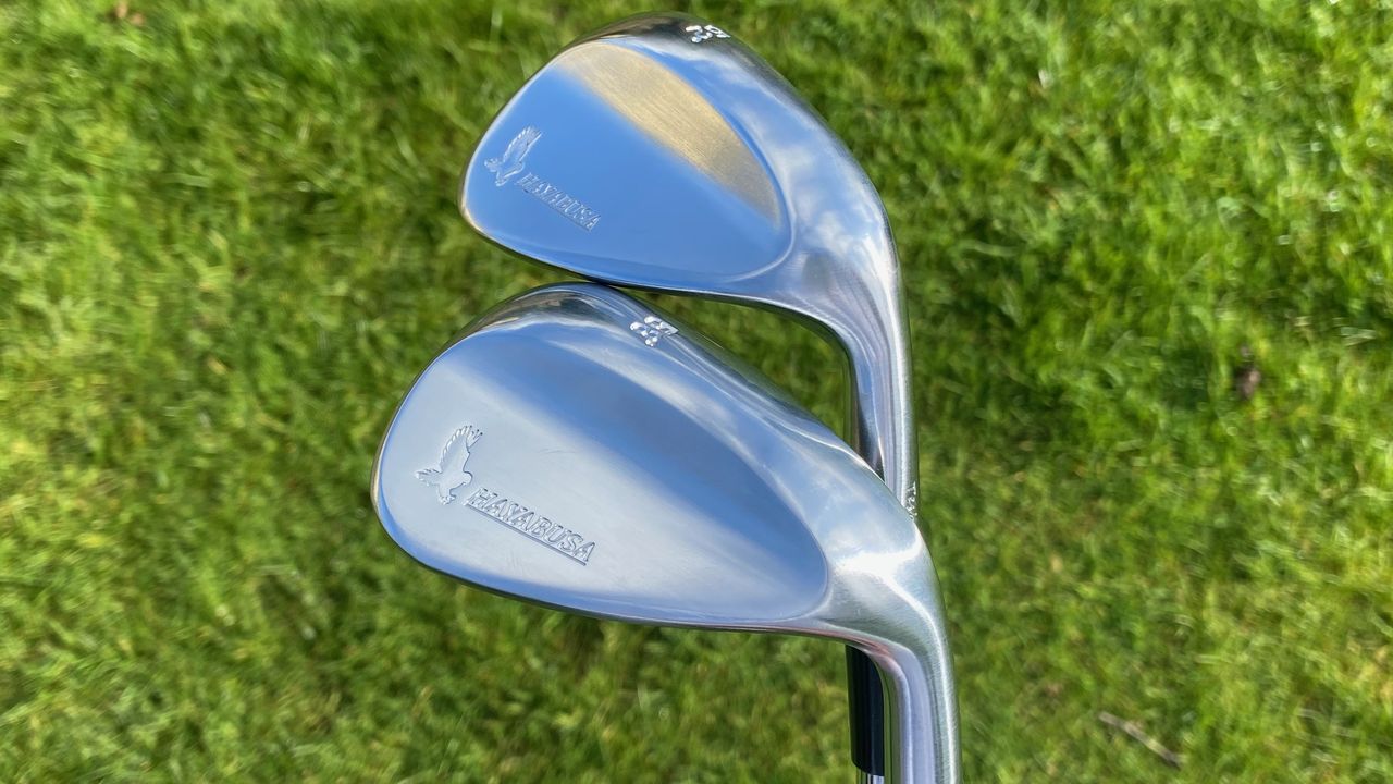 Photo of the Hayabusa wedges