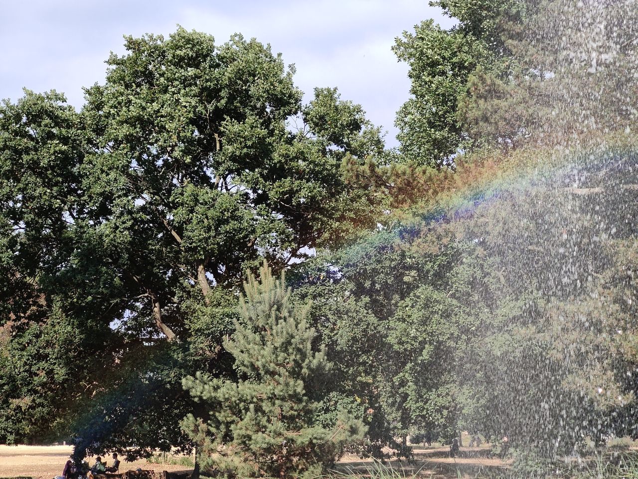A photo captured on the OnePlus 10 Pro