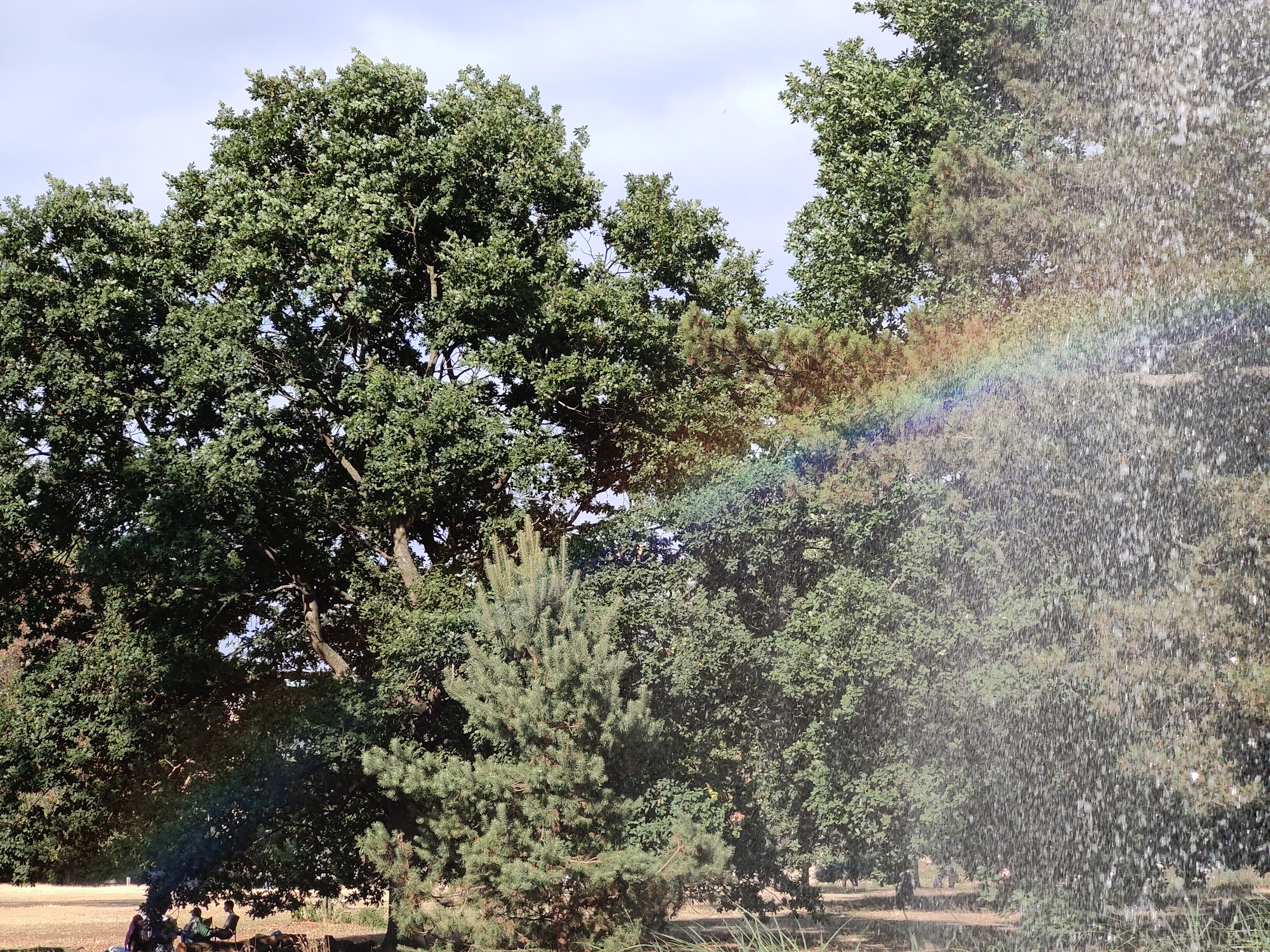 A photo captured on the OnePlus 10 Pro
