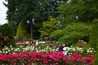 Portland, Oregon International Rose Test Garden