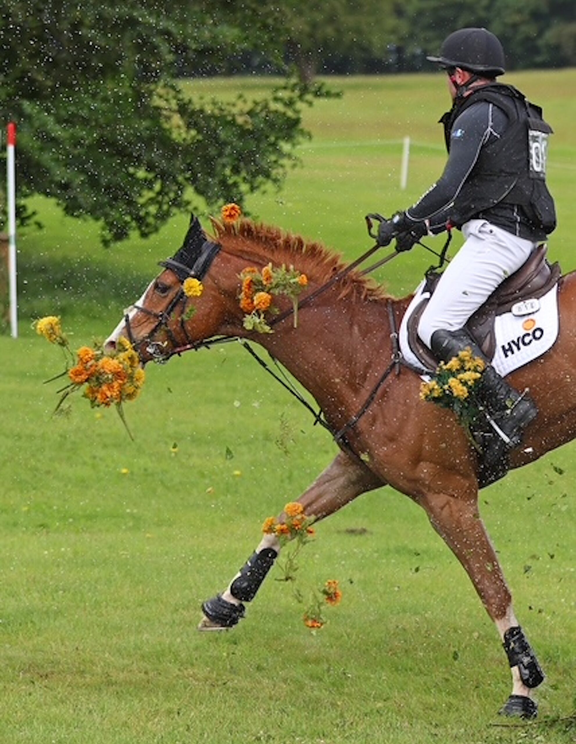 BRAMHAM-2026-NIGHT-PROWLER-FLOWERS-1STCLASSIMAGES-FC-2-scaled.jpeg