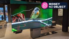 C SEED N1 TV showing image of bird