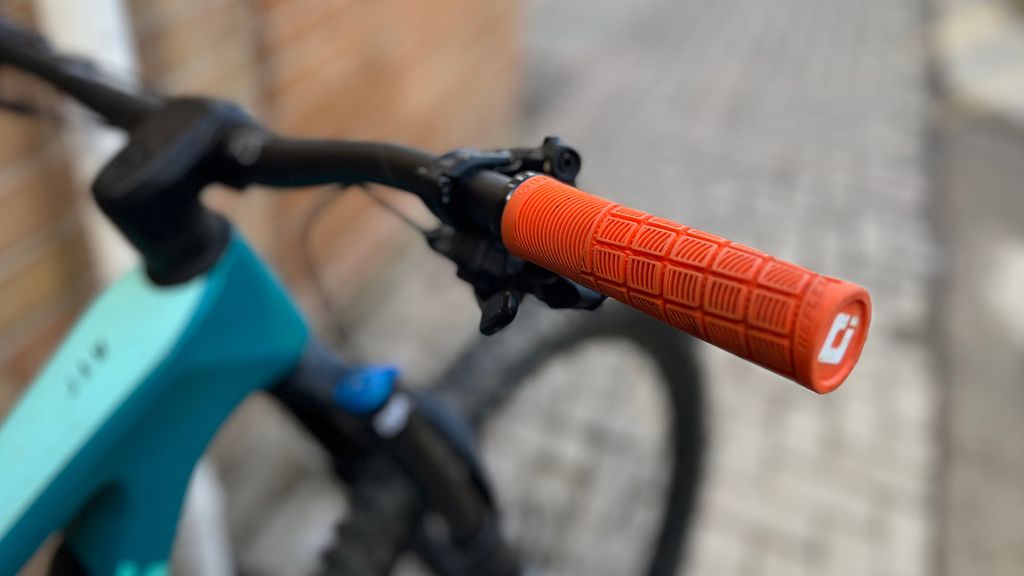 teal mountain bike grips